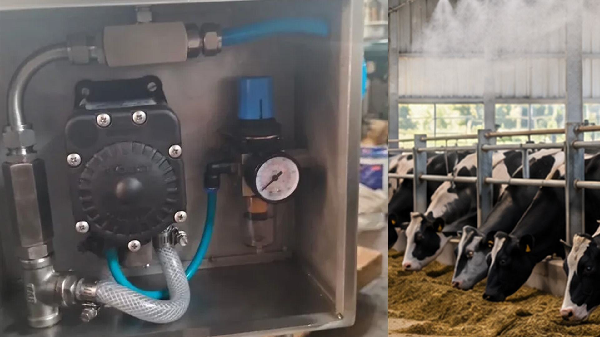 Bomba Flojet en sistema de enfriamiento de animales